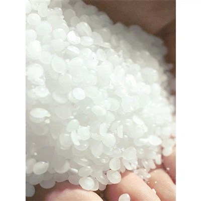 Ceară de parafină în histopatologie